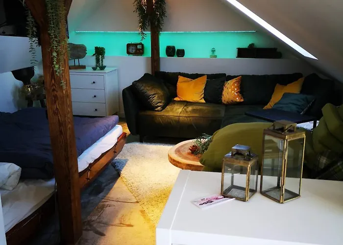 Mit Rheinblick 公寓